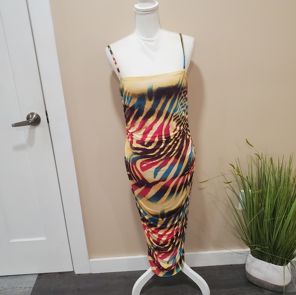 Fashion nova zebra colorful dress - Picture 7 of 10